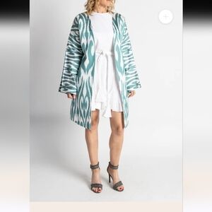 Elysian Silk Ikat Chapan jacket size one size